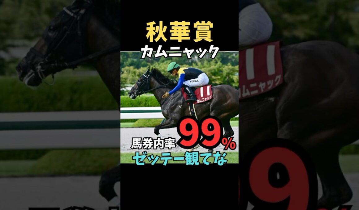【秋華賞2025】馬券内率99%/カムニャック#秋華賞#カムニャック#競馬 #競馬予想 #競馬予想tv #中央競馬予想 #うまログ#義英信#shorts