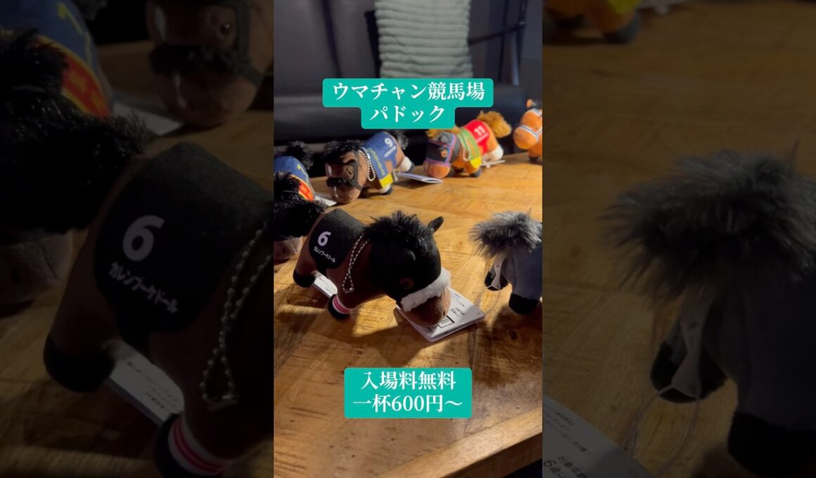 名馬が揃うパドック　　　　　　　#競馬 #競馬バー　#カラオケBAR  #秋華賞　　#東京競馬場　#大井競馬場　　#G1ファンファーレ　　#歌舞伎町