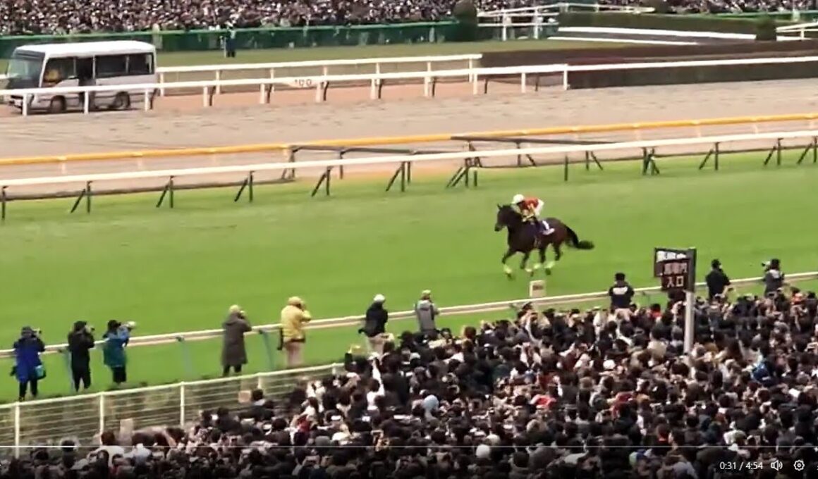 ☆ジャパンカップGI ハイライト 2006～2024 23イクイノックス～06ディープインパクト～08スクリーンヒーロー～12ジェンティルドンナ～22ヴェラアズール～24ドウデュース