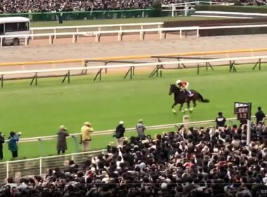 ☆ジャパンカップGI ハイライト 2006～2024 23イクイノックス～06ディープインパクト～08スクリーンヒーロー～12ジェンティルドンナ～22ヴェラアズール～24ドウデュース