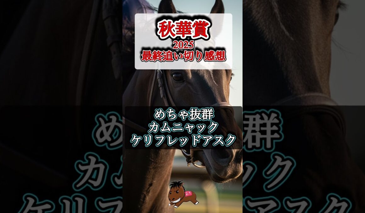 【秋華賞2025 最終追い切り感想】#秋華賞#競馬予想#セナスタイル