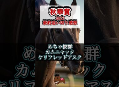 【秋華賞2025 最終追い切り感想】#秋華賞#競馬予想#セナスタイル