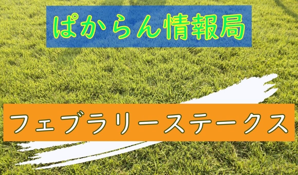 ぱからん情報局『フェブラリーステークス』編