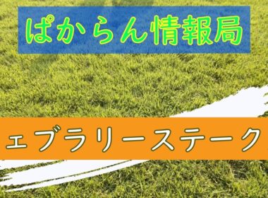 ぱからん情報局『フェブラリーステークス』編