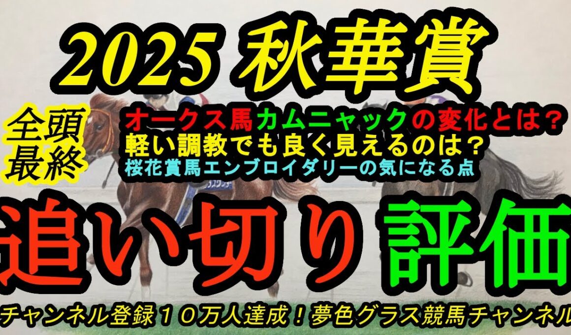 【出走全頭最終追い切り評価】2025秋華賞！カムニャックに感じる変化とエンブロイダリーの気になる点とは？