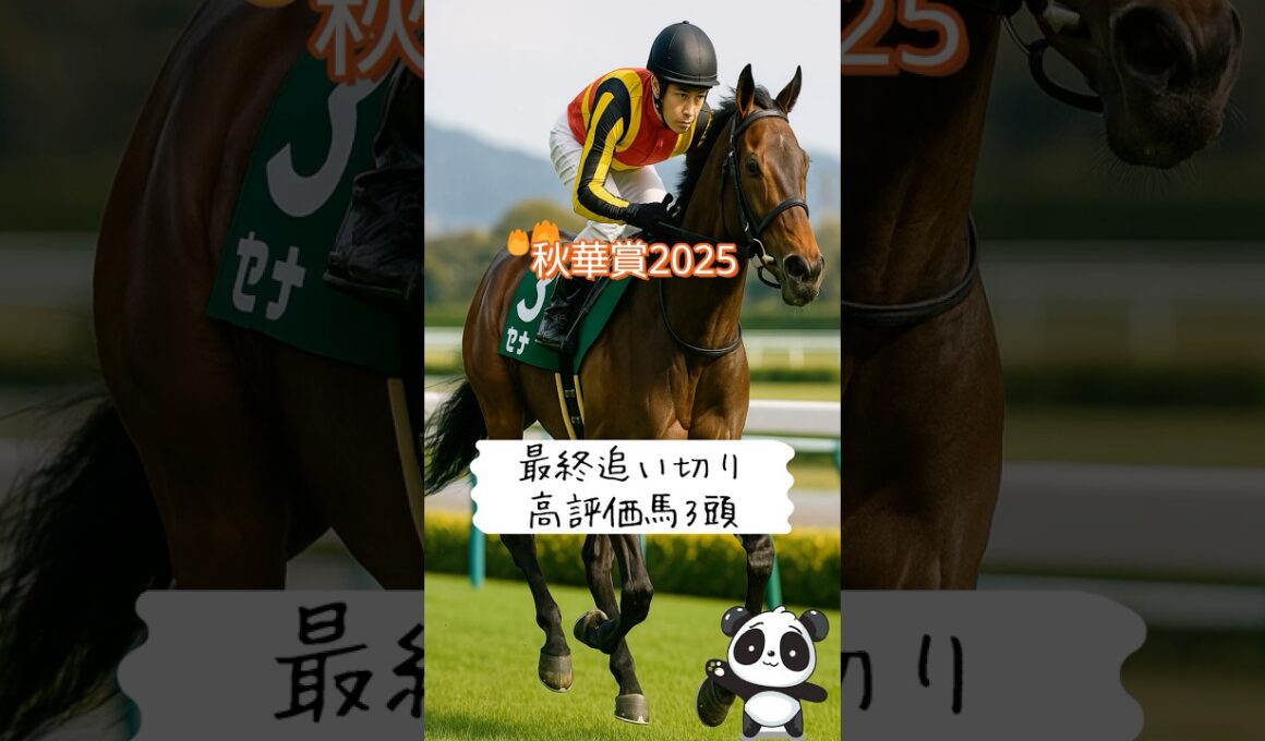 秋華賞2025｜最終追い切りで目立った高評価3頭を徹底紹介