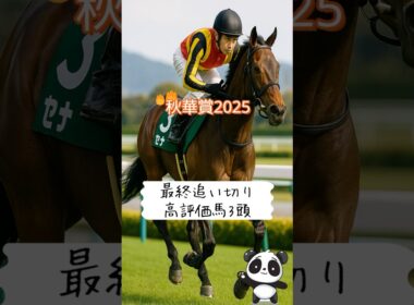 秋華賞2025｜最終追い切りで目立った高評価3頭を徹底紹介
