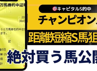２４年　チャンピオンズカップ予想【今回絶対買いたい馬を公開】