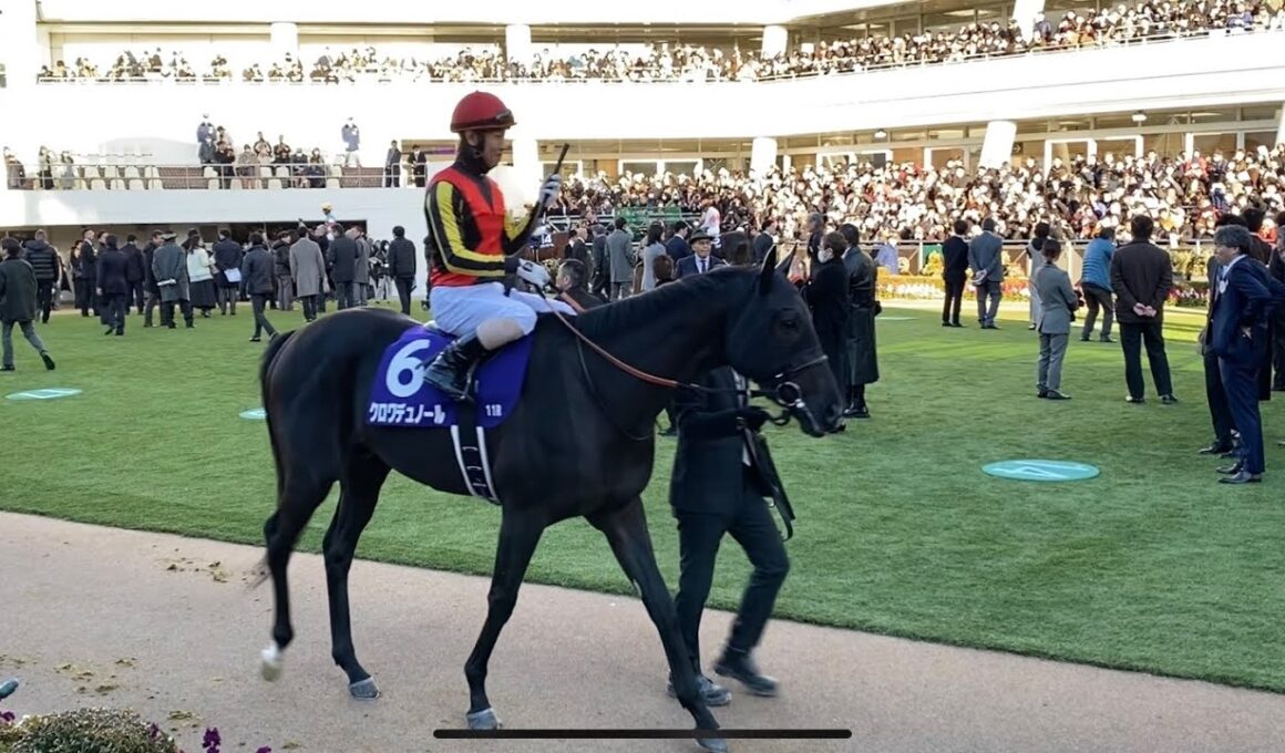第41回ホープフルステークス　 パドックの入場から退場まで