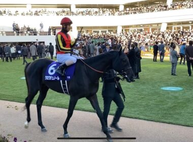 第41回ホープフルステークス　 パドックの入場から退場まで