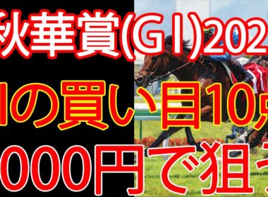 【秋華賞2025】1000円で何を買う？AI×過去10年が出した結論