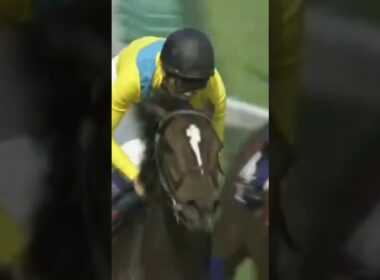 #shorts 2009 安田記念 #ウオッカ #武豊