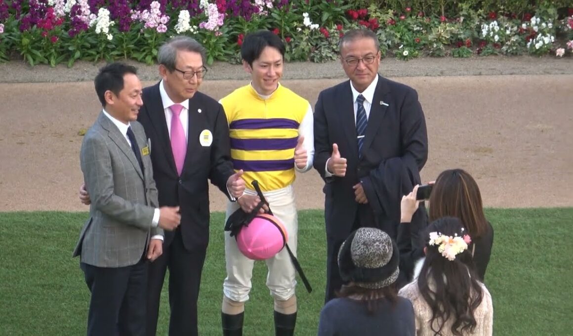 【中山大障害2024】全頭パドックとGⅠパドックの様子 現地映像 ニシノデイジー