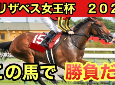 【エリザベス女王杯2024・予想】前走が◯◯◯クラス、前走タイム差が◯◯◯は馬券に絡まない！？データ・予想を発表します！！