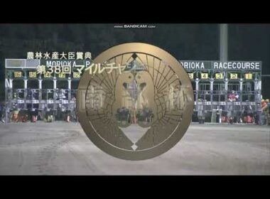 2025年 マイルチャンピオンシップ南部杯（JpnI）ファンファーレ