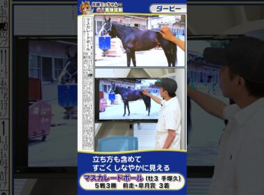 【2025年 ダービー】皐月賞３着マスカレードボールの馬体診断　 #shorts #競馬 #予想