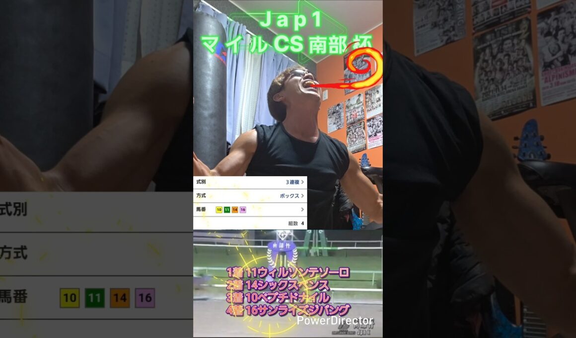 Jpn1マイルCS南部杯🏇