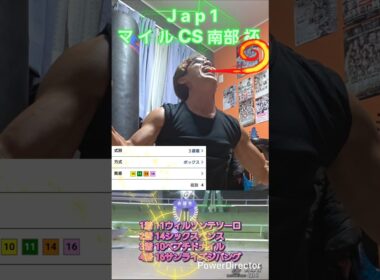 Jpn1マイルCS南部杯🏇
