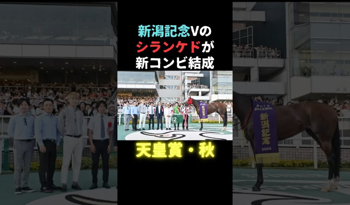 【天皇賞秋】シランケド新コンビ結成！　#シランケド #競馬