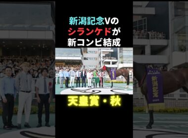 【天皇賞秋】シランケド新コンビ結成！　#シランケド #競馬