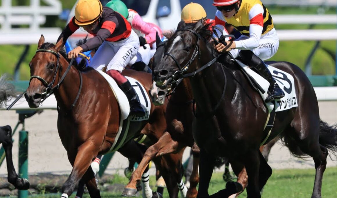 【秋華賞2025】メンバーシップ会員限定ライブ配信公開 調教診断