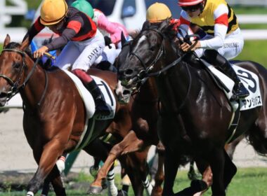 【秋華賞2025】メンバーシップ会員限定ライブ配信公開 調教診断