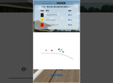 2025年10月2日 姫山菊花賞 園田競馬11R　展開予想　競馬指数 #地方競馬予想 #競馬予想 #競馬指数 #姫山菊花賞