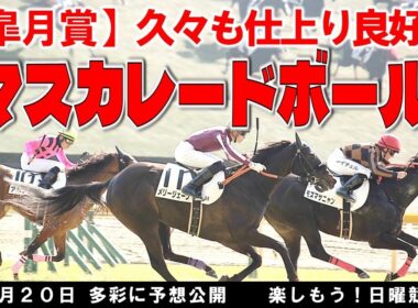 【競馬予想】４月２０日 皐月賞　調教情報で本命穴馬　マスカレードボール
