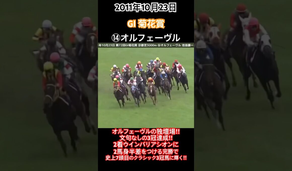 菊花賞2011 オルフェーヴルの独壇場‼︎文句なしの3冠達成‼︎2着ウインバリアシオンに2馬身半差をつけ、史上7頭目のクラシック3冠馬に輝く‼︎#競馬#オルフェーヴル#池添謙一#菊花賞#shorts
