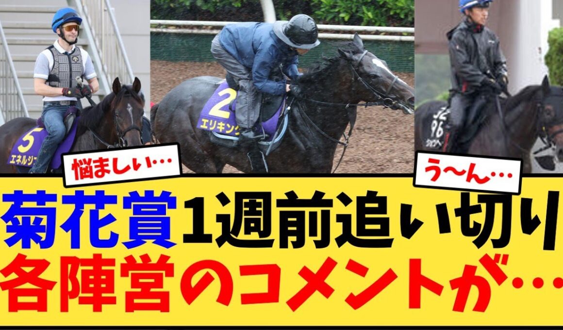 【菊花賞】1週前追い切り各陣営のコメントが…【競馬反応集】