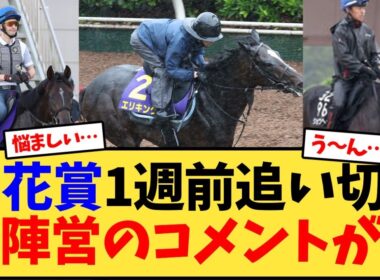 【菊花賞】1週前追い切り各陣営のコメントが…【競馬反応集】