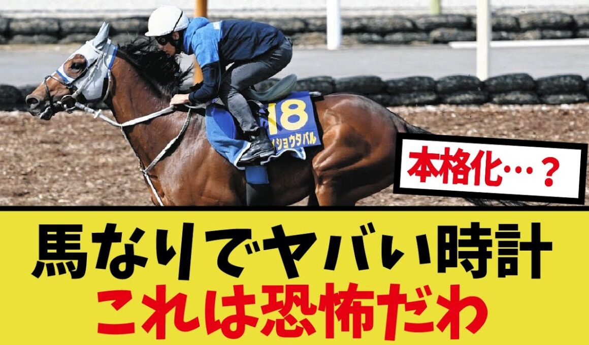 「メイショウタバル追切で暴走か！？」に対するみんなの反応集