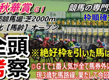 【秋華賞2025】全頭考察 １番人気が全て馬券外になってきたこの３歳牝馬路線､カムニャックは大丈夫か！？