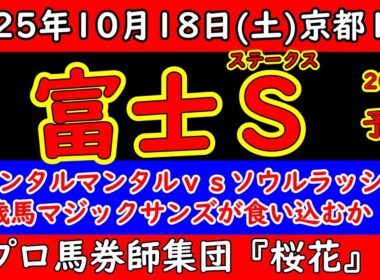 富士ステークス2025レース予想！安田記念2025覇者ジャンタルマンタルとマイルチャンピオンシップ2024覇者ソウルラッシュが東京の舞台で再び再戦！３歳馬マジックサンズは通用するのか？
