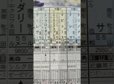 競馬予想（秋華賞）