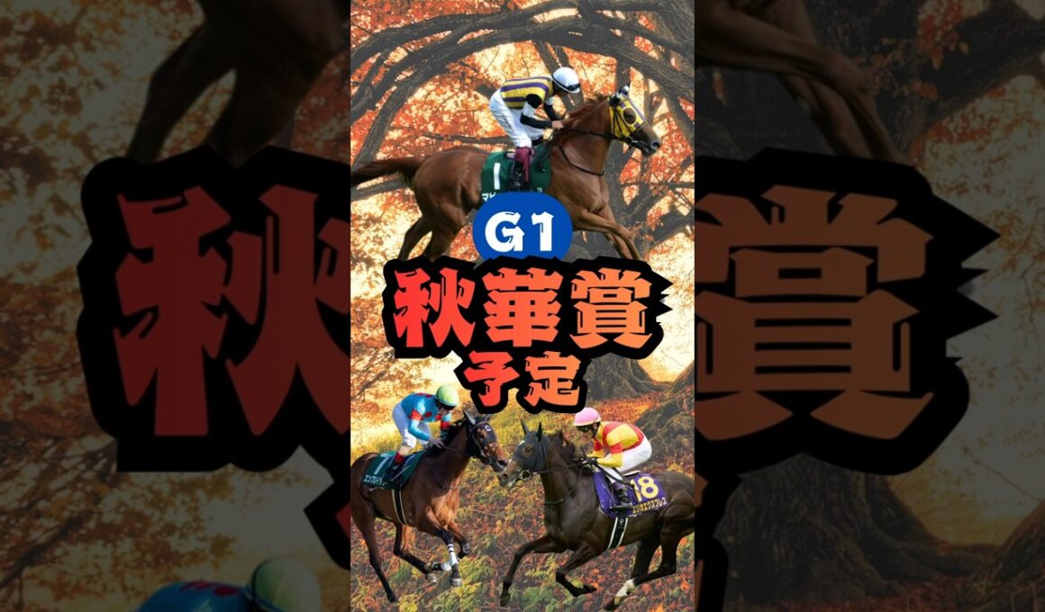 【競馬予想】秋華賞で注目すべき5頭はコレだ！🏇競馬外人！