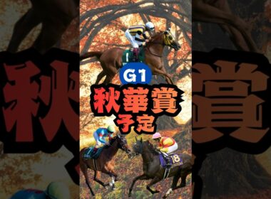 【競馬予想】秋華賞で注目すべき5頭はコレだ！🏇競馬外人！