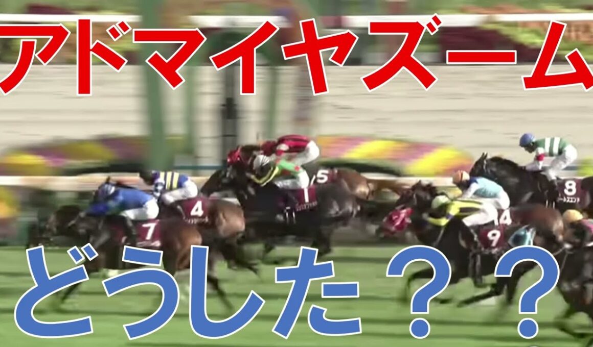 スワンステークス 2025 結果 レース回顧 アドマイヤズームが負けた理由