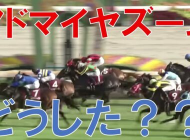 スワンステークス 2025 結果 レース回顧 アドマイヤズームが負けた理由