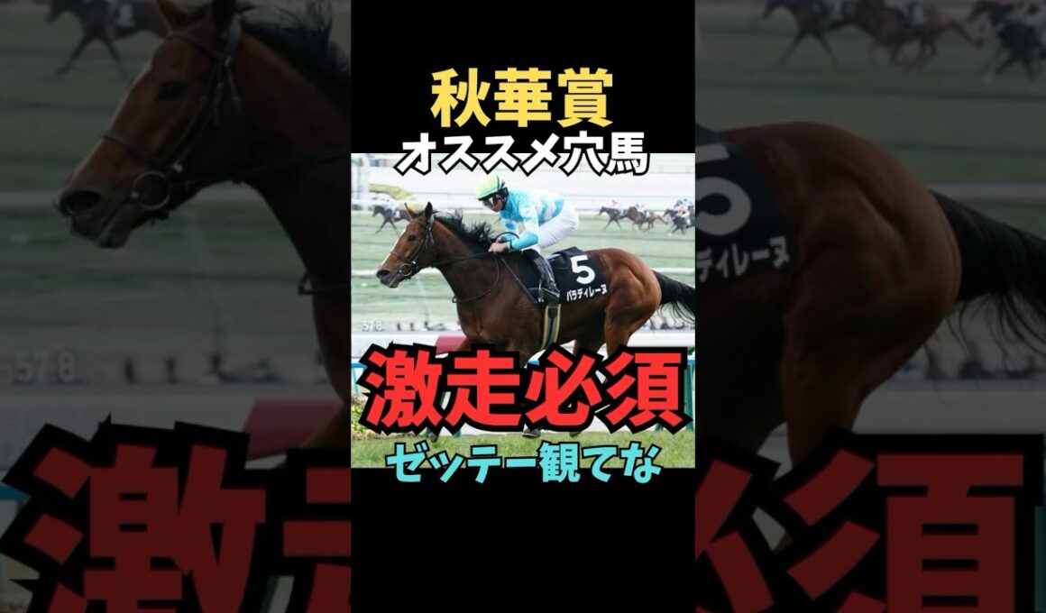 【秋華賞2025】オススメ穴馬/激走必須#秋華賞#パラディレーヌ#競馬 #競馬予想 #競馬予想tv #中央競馬予想 #東京競馬予想 #うまログ#義英信#shorts