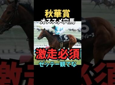 【秋華賞2025】オススメ穴馬/激走必須#秋華賞#パラディレーヌ#競馬 #競馬予想 #競馬予想tv #中央競馬予想 #東京競馬予想 #うまログ#義英信#shorts