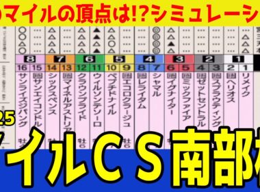 【マイルチャンピオンップ南部杯2025】シミュレーション枠順確定版 かしわ記念・さきたま杯とJpnI連勝中のシャマルは4枠7番！昨年2着のペプチドナイルは5枠10番！【競馬予想】
