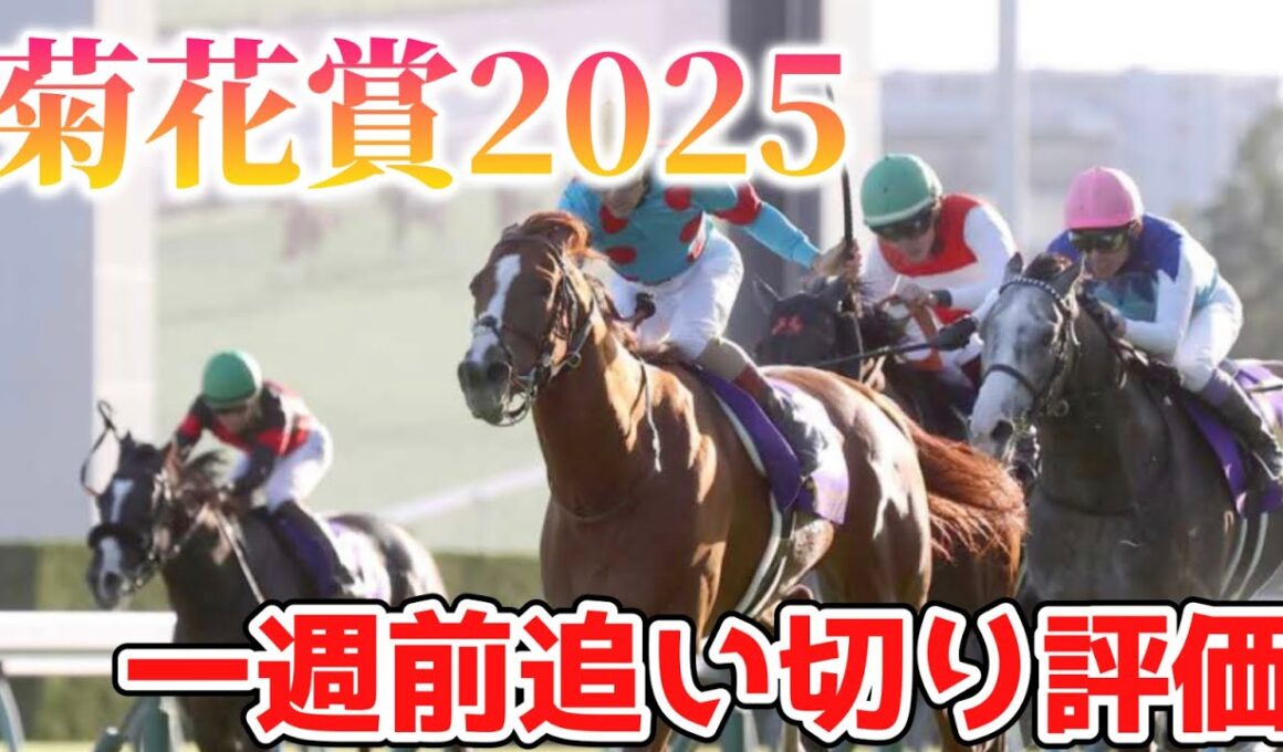 菊花賞2025 一週前追い切り評価
