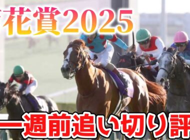 菊花賞2025 一週前追い切り評価