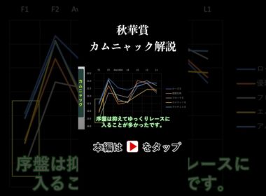 秋華賞 ラップタイム分析【カムニャック編】