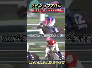 【宝塚記念】父子制覇のメイショウタバルとゴールドシップ！　#競馬  #メイショウタバル  #ゴールドシップ  #shorts