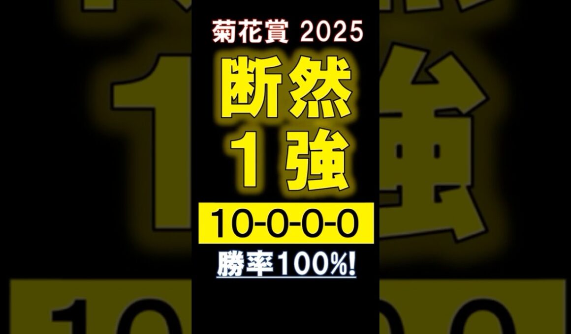 【 菊花賞 2025 】 断然１強！ #競馬 #菊花賞 #shorts