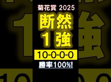 【 菊花賞 2025 】 断然１強！ #競馬 #菊花賞 #shorts