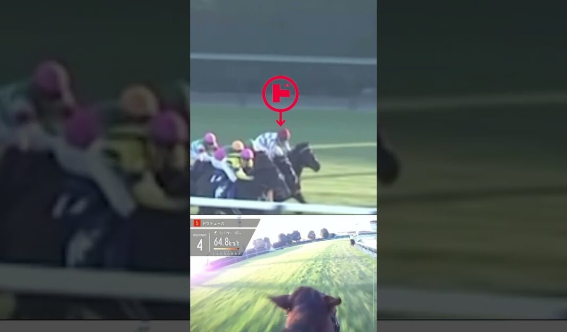 23年、有馬記念✨やっぱりこのコンビは絵になるねぇ😍
