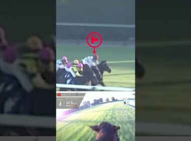 23年、有馬記念✨やっぱりこのコンビは絵になるねぇ😍
